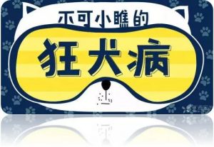 不可小瞧的“狂犬病”