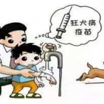 狂犬?。褐嫦?不恐狂