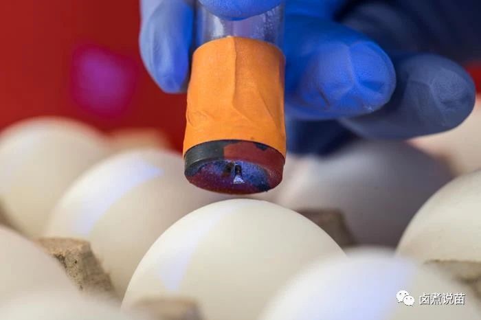 d6ad3a354503970d6186e01e9ca496d1