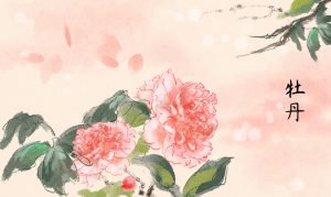 四月，牡丹花綻放|金迪克2022年4月優(yōu)秀質(zhì)量獎獲得者風(fēng)采展示